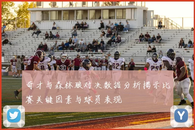 奇才与森林狼对决数据分析揭示比赛关键因素与球员表现
